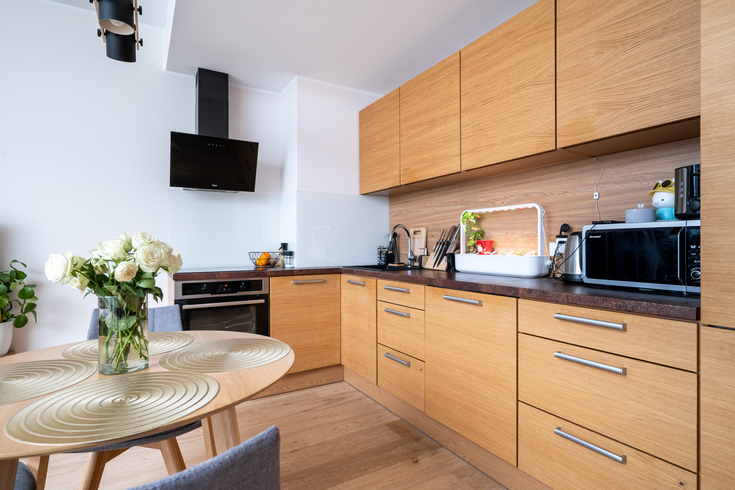 Luxury apartment kitchen